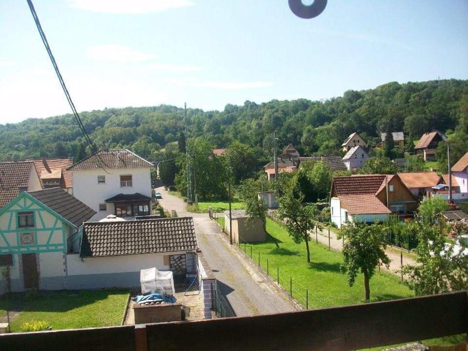 Gite Le Jardin De Hermolsheim. Alsace Tres Spacieux Mutzig Extérieur photo