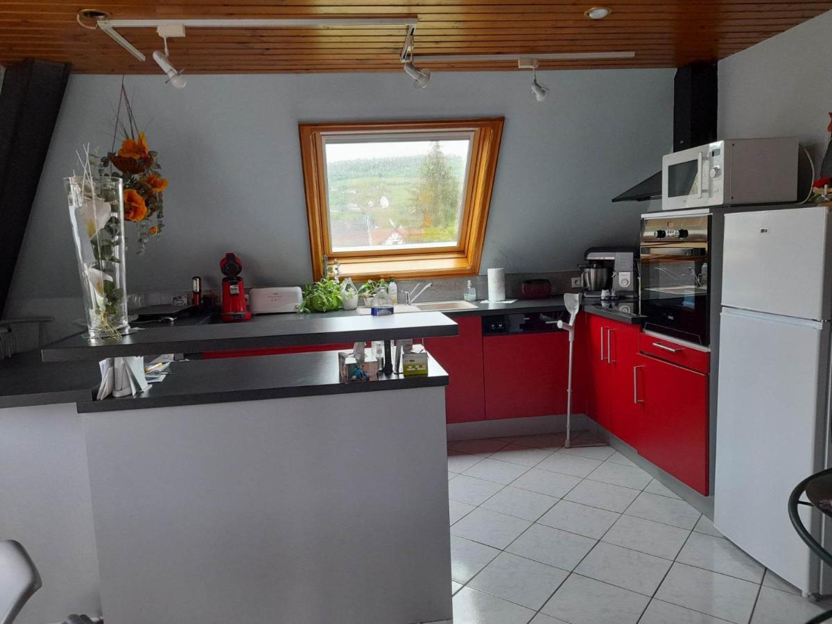 Gite Le Jardin De Hermolsheim. Alsace Tres Spacieux Mutzig Extérieur photo