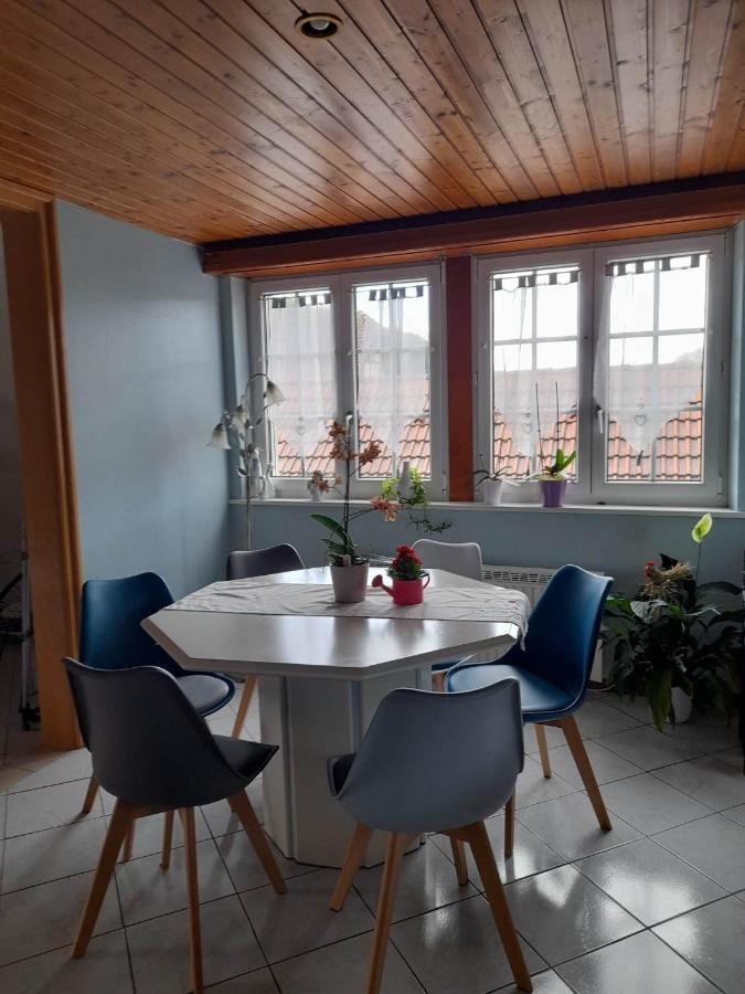 Gite Le Jardin De Hermolsheim. Alsace Tres Spacieux Mutzig Extérieur photo