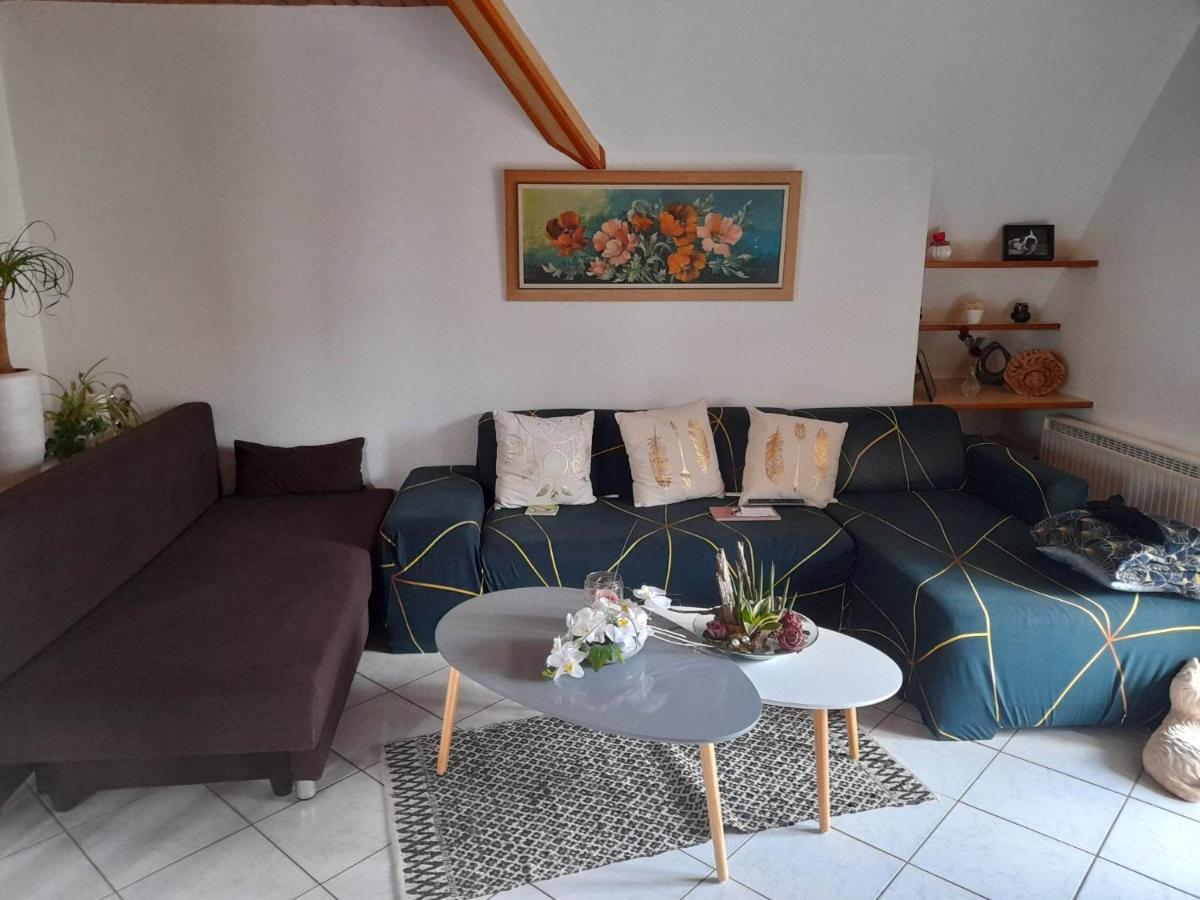 Gite Le Jardin De Hermolsheim. Alsace Tres Spacieux Mutzig Extérieur photo